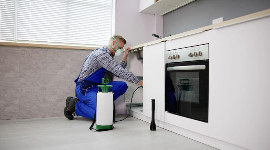 Why choose Rowlett Flea Removal for flea removal in Rowlett